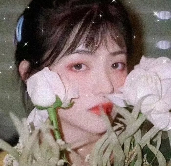 花筐海报