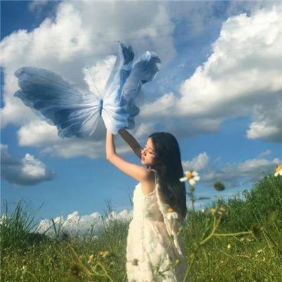热带往事海报
